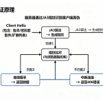 TLS指纹绕过实战：从原理到JA3指纹检测与破解