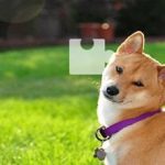 同某顺滑动验证码,Selenium + OpenCV 代码移植实战