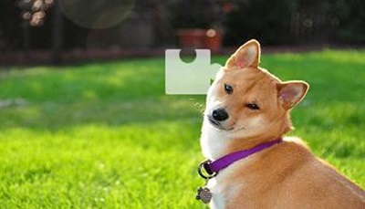 同某顺滑动验证码，Selenium + OpenCV 代码移植实战